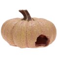 thumbnail image 1 of Creative Hide Nest Creative Rest Cave Adorable House Pumpkin Cave for Reptile Hamster Lizard Fish Turtle (3031), 1 of 8