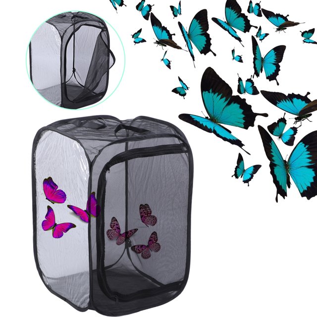 Cage de Transmission de Lumière Grand Espace, Cage Entilisée, Insectes pour Enfants