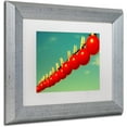 thumbnail image 2 of Trademark Fine Art "Sundried Tomatoes" Canvas Art by Beata Czyzowska Young, White Matte, Silver Frame, 2 of 4