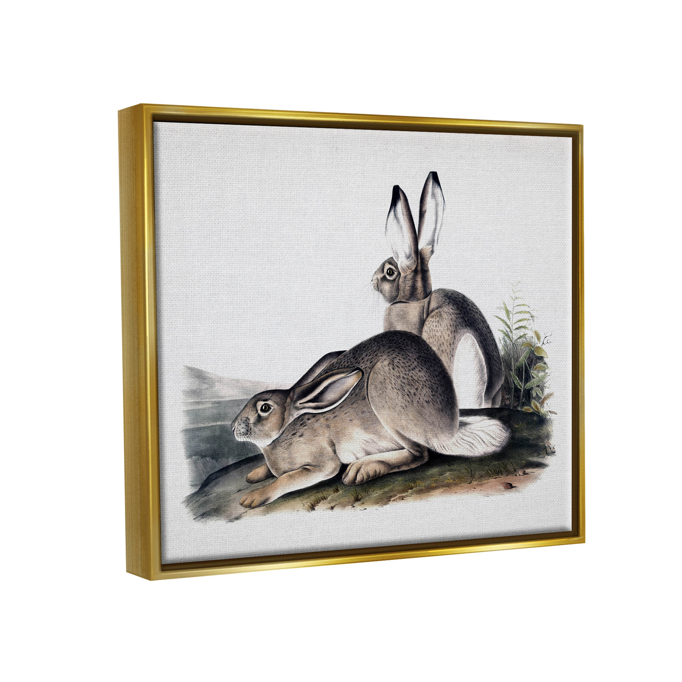 Rabbit Duo Gazing Animals Animals & Insects Painting Metallic Gold Framed Art Print Wall Art