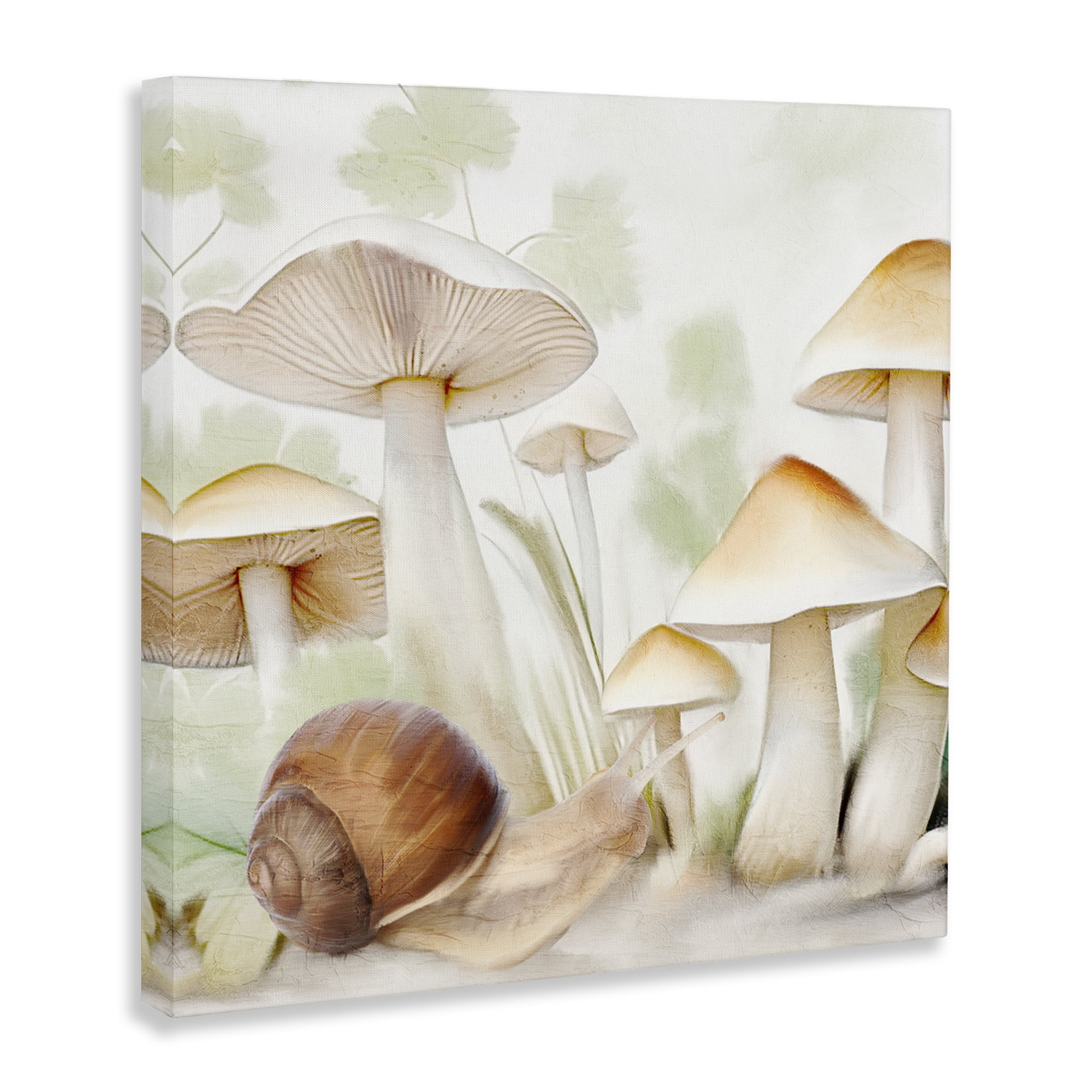 Stupell Industries Snail Among Mushrooms Plants & Flowers Painting Wrapped Canvas Art Print Wall Art, 24 x 24