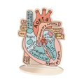 thumbnail image 2 of Modelo de corazón anatómico Estructuras anatómicas 2D Tablero anatómico plano Ayuda de aprendizaje Modelo de corazón humano para estudio científ, 2 of 9