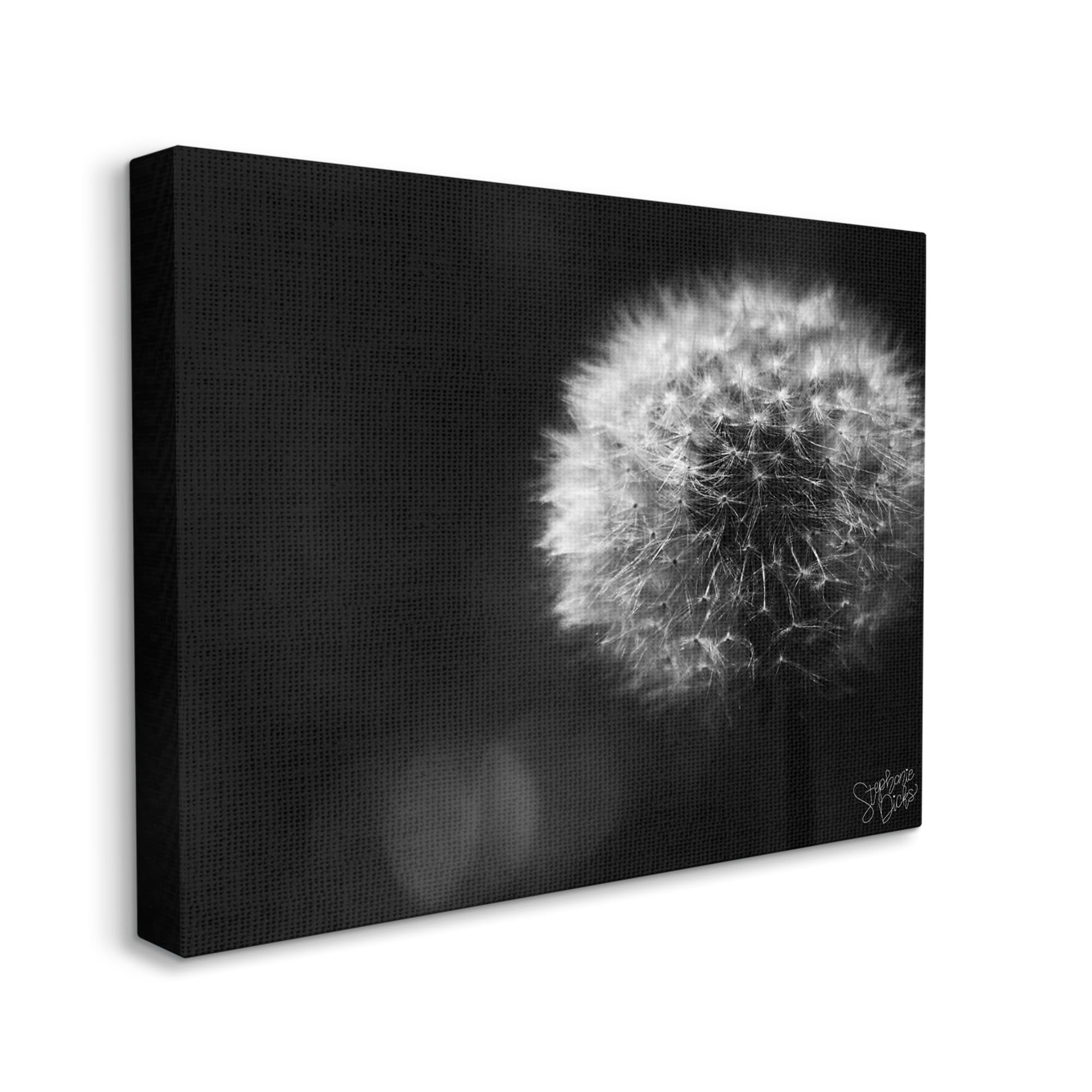 Stupell Modern Black Dandelion Photography Botanical & Floral Photography Gallery Wrapped Canvas Print Wall Art