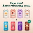 thumbnail image 4 of OLIPOP Prebiotic Soda, Variety Pack, 12 fl oz, 8 Pack, 4 of 7