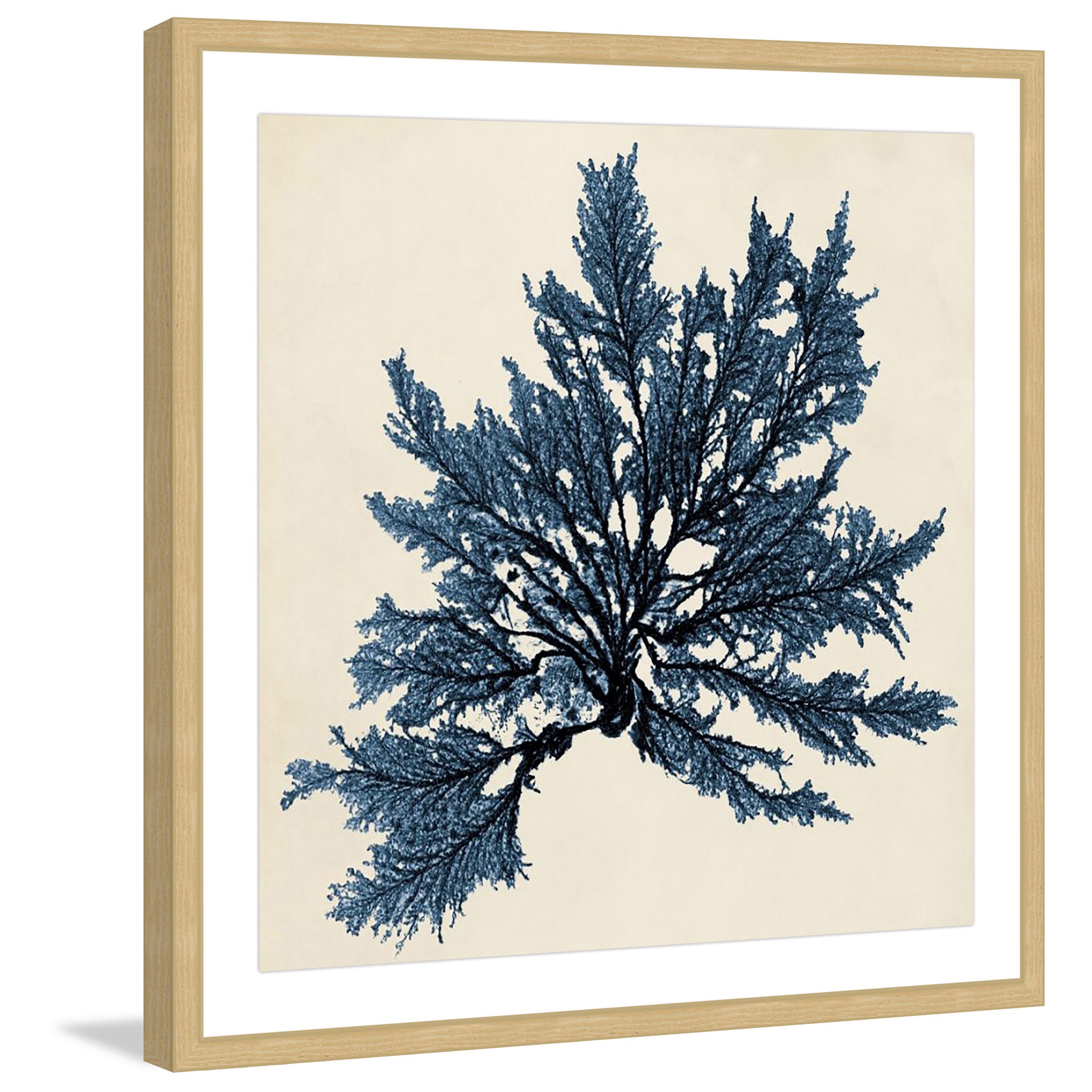 Marmont Hill "Coastal Seaweed IX" Framed Painting Print