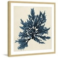 thumbnail image 2 of Marmont Hill "Coastal Seaweed IX" Framed Painting Print, 2 of 5