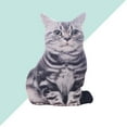 thumbnail image 3 of EeaseCA 1PC Simulated Cat 3D Stereo Throw Pillow Plush Toy Cushion Stuffed Toy (Tiger Grain), 3 of 5