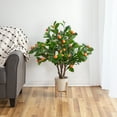 thumbnail image 2 of Northlight 34" Artificial Orange Citrus Tree in Black Pot, 2 of 5