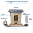 thumbnail image 4 of Feit Bird Genius Smart Feeder Wild Bird 2.5 L Plastic Bird Feeder 1 Ports, 4 of 9