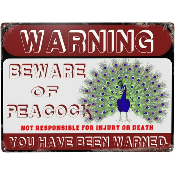 Beware Peacock Vintage Metal Tin Sign Funny Vintage Signs For Outdoor Metal Signs Wall Decor—16" X 12"