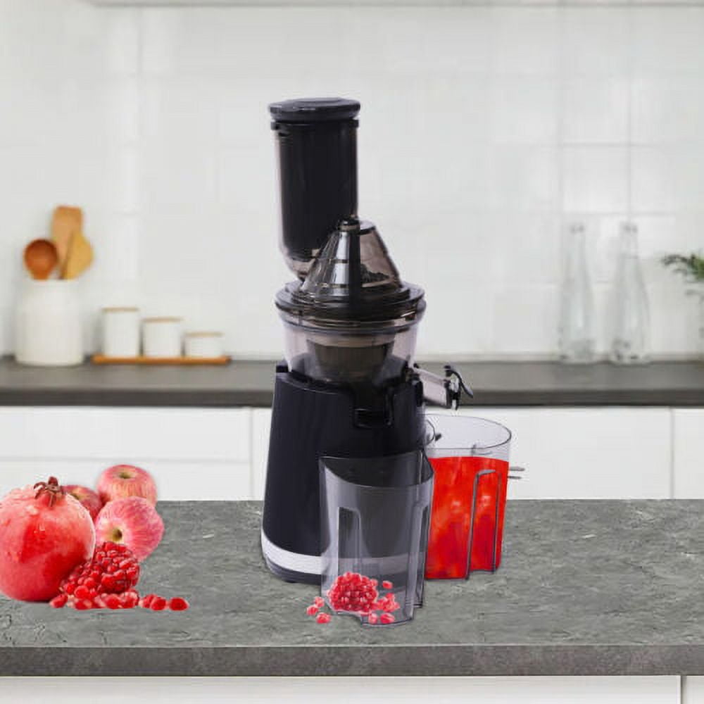 Masticating Slow Speed Juicer Machine 82mm Wide Mouth Squeezing Stainless 250W