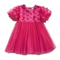 thumbnail image 1 of JIRNDf Robes de Bébé Fille à Fleurs pour Mariage Robe de Bal Élégante Fête Princesse Manches Courtes Décoration Maille Danse Formelle Robe d'Été Décontractée Rouge 6-12 Mois, 1 of 4