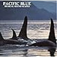 thumbnail image 3 of Pacific Blue Musical Sound Scapes, 3 of 4