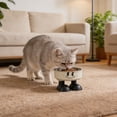 thumbnail image 4 of Raised Bowl Stainless Feeding Dish Elevated Dining Station Neck Relief Food Plate Anti Slip Eating Container Pet Diet Supply ,A - One Size, 4 of 6