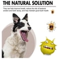 thumbnail image 4 of Spray limpiador de dientes para mascotas, versión casera 2X, apto para perros y gatos, limpiador de manchas de dientes y halitosis, spray para el cuidado de la salud de las mascotas, 4 of 5