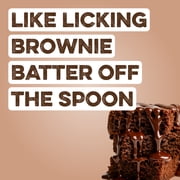 Clean Simple Eats Protein Powder Chocolate Brownie Batter - 1 Stick (xylitol free)