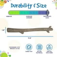 thumbnail image 5 of SodaPup Chew Stick – Durable Dog Chew Toy Made in USA from Non-Toxic, Pet Safe, Food Safe, Nylon Material for Mental Stimulation, Clean Teeth, Fresh Breath, Problem Chewing, Calming Nerves, & More, 5 of 6