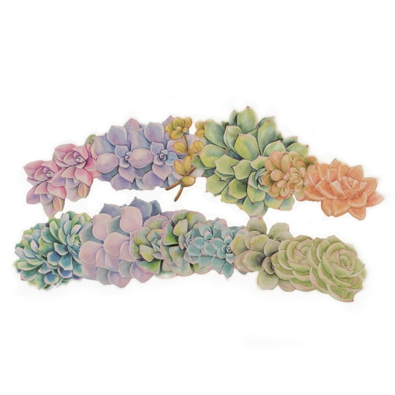 12 Pack: Succulent Die Cut Stickers by Recollections