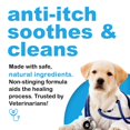 thumbnail image 3 of Doctor Bum's Anti-Itch Skin and Hot Spot Non-Toxic Health Care Spray for All Animals and Skin Types, 3 of 6