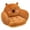 Brown, variant on Capybara Cushion Chair,Comfy Cartoon Plush Seat Cushion,Floor Pillow Floor Cushions,Cute Office Chair Cushion Room Decor for Woman(Brown,19 Inch)