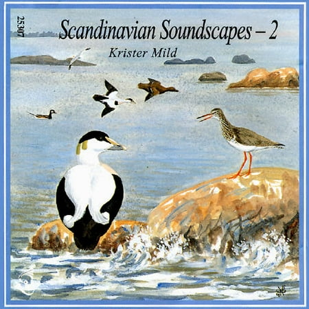 Scandinavian Soundscapes, Vol. 2