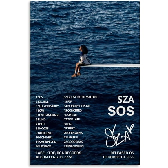 PHFZJYOU Sza Sos Album Cover Poster frameless Painting Canvas Wall Posters Art Picture Print Modern Home Family Bedroom office Decor 20x30inch