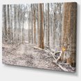 thumbnail image 2 of Forêt Dense en Hiver Photographie - Art Moderne sur Toile de Forêt, 2 of 4