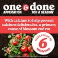 thumbnail image 3 of Pennington Full Season Tomato & Vegetable Plant Food 10-15-15, 2lb, 3 of 12