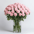 thumbnail image 3 of Globalrose 12 Count Pink Roses, Fresh cut flowers, 3 of 7