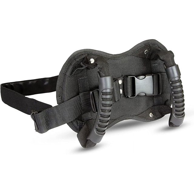 Cinturón de Seguridad para Moto y Scooter Rojo Verde Negro Ajustable para Niños
