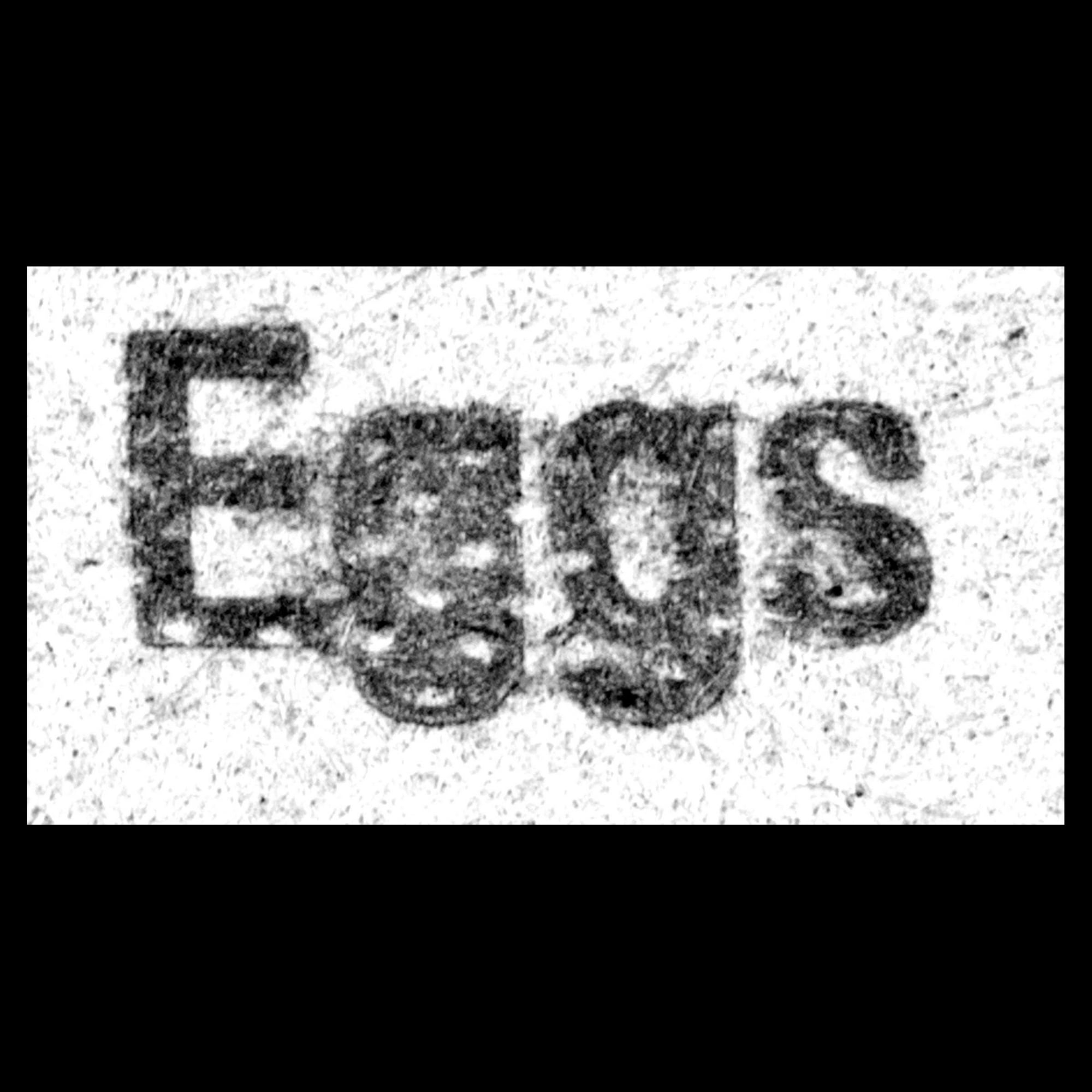 Gray Ridge Large Brown Eggs, 12 Count