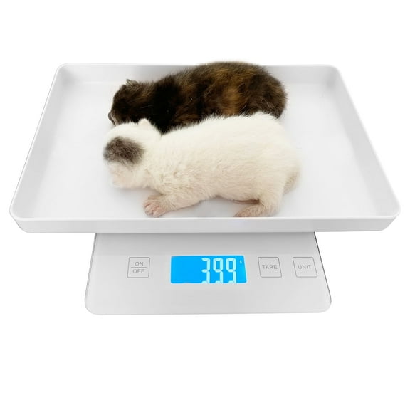 MINDPET-MED Digital Pet Scale for Small Animal, Whelping Scale,Mini Precision Gram Weight Balance Scale, High Precision 1g, Suitable for Newborn Pets