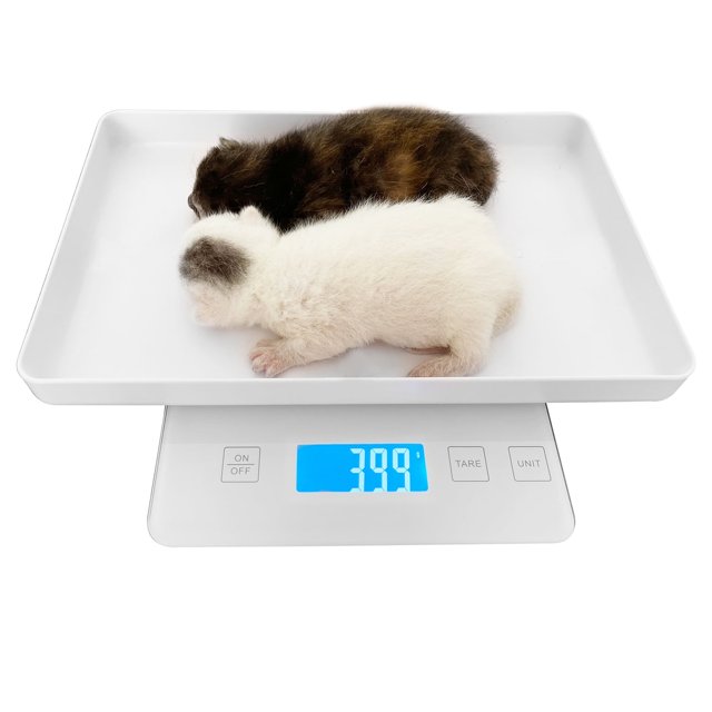 MINDPET-MED Digital Pet Scale for Small Animal, Whelping Scale,Mini Precision Gram Weight Balance Scale, High Precision 1g, Suitable for Newborn Pets