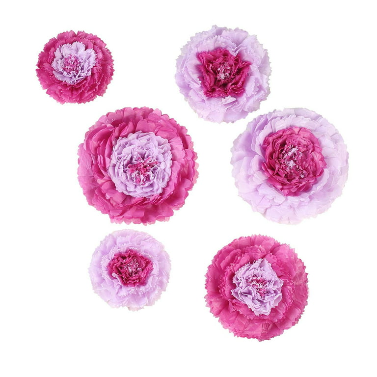 BalsaCircle 6 Pieces 12 16 20 Blush Pink Carnations Large
