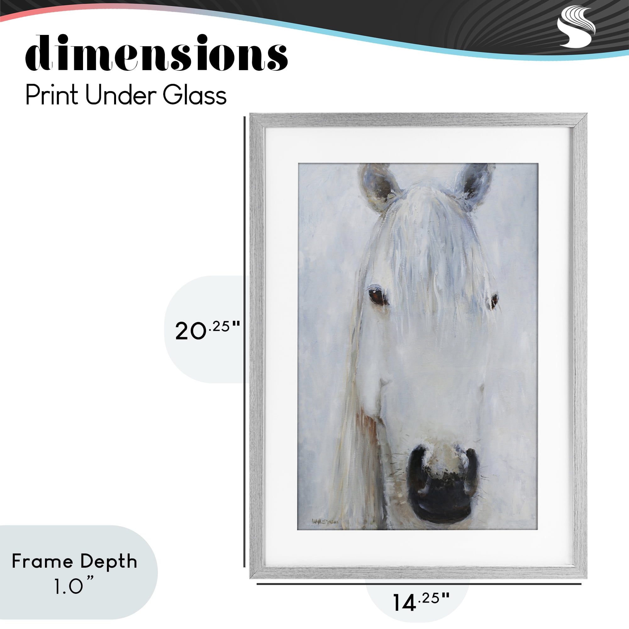 Stupell Industries Pure White Horse Portrait Gray Framed Print Under Glass, design by Jadei Graphics