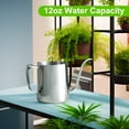 thumbnail image 2 of Baalaka Small Watering Can for Indoor Plants, Mini Indoor Watering Can with Long Spout and Handle 12 oz / 350 ml Rust-Proof 304 Stainless Steel Material, 2 of 7