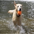 thumbnail image 4 of CHUANK Balle Lumineuse à Rapporter pour Grand Chien, 4 of 4