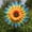 Style 3, variant on 1pcs Sunflower Lawn Pinwheels Wind Spinners Large Windmill Pinwheel for Garden,Yard, Party Outdoor Decor (Sunflower Pinwheels)