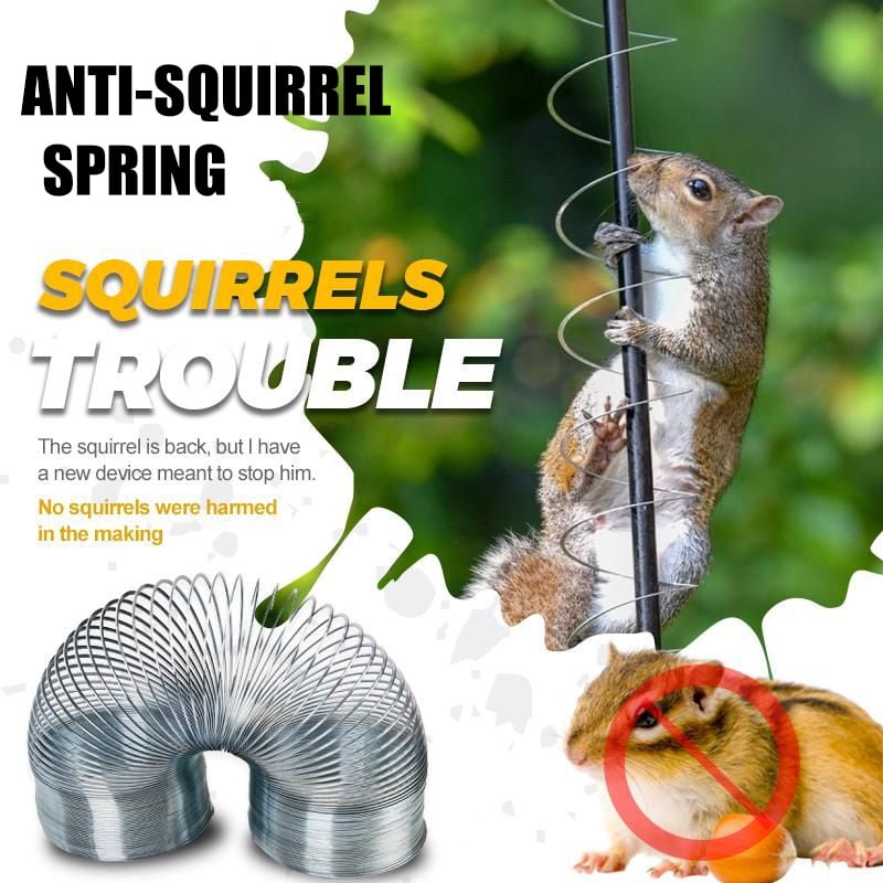 7x7x24 Squirrel Trap – Arnall Grocery