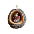 thumbnail image 2 of Adornos Acrílicos 2024 para Coche y Árbol de Navidad., 2 of 7