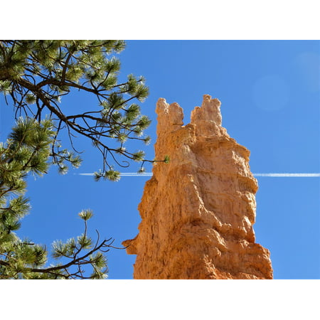 Canvas Print Utah Hiking Bryce Canyon Blue Sky Stretched Canvas 10 x