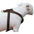 thumbnail image 2 of Brown Genuine Leather Dog Harness, Medium. 25.5"-29" Chest size, 1" Wide Amstaff, 2 of 3