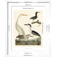 thumbnail image 5 of Art.com Heron Family II Art Print by A^ Wilson, White Frame Wall Art, 17" x 21", 5 of 5