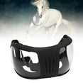thumbnail image 1 of Lunettes de Soleil pour Animaux de Compagnie, Lunettes de Cheval pour Sports Équestres avec Sangle Réglable, Faciles à Porter pour Sports Équestres, Lunettes d'Équitation, Lunettes de Course Équestres, 1 of 7