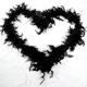thumbnail image 1 of 2M Feather Boa Strip Fluffy Craft Costume Hen Night Dressup Wedding Fancy Party, 1 of 4