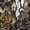 Late Seezyn Brown, variant on Treezyn Leafy Suit Deer and Turkey Hunting Ghillie Outfit, Late Seezyn Brown, L/XL/2X