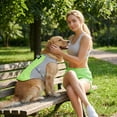 thumbnail image 6 of Heat Breathability Heat Dissipation Dog Cat Vest, Cooling Summer Harness for Pets, Breathable Anti-Heat Chest Strap, Green S, 6 of 6