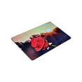 thumbnail image 3 of CADecor rose Non-Slip Machine Washable Bathroom Indoor/Outdoor Doormat 30x18 Inches, 3 of 3