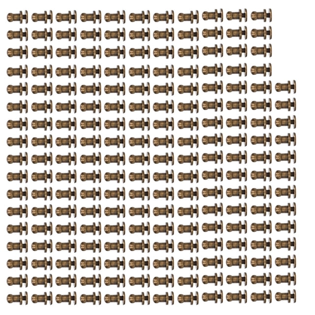 Leathercraft Rivets,200 Sets Chicago Screws Round Head Shoe Rivets Chicago Screws Round Head Rivets Extended Durability