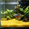 thumbnail image 6 of Roiihwy Orange Light In The Dark Aquarium Sand 2000 Luminous Grains, Luminous Fish Tank Gravel Decorative Stones for Bettas Shrimp Tank, 6 of 6